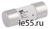 Плавкая вставка цилиндрическая ПВЦ 22х58 gG 10А IEK